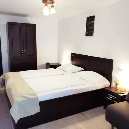 Complex Parc Pini Hotel Moineşti