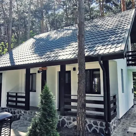 Complex Parc Pini Hotel Moineşti