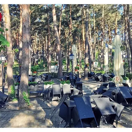 Complex Parc Pini 3* Moineşti