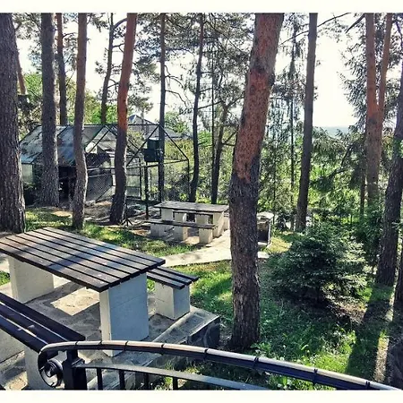 Complex Parc Pini Moineşti