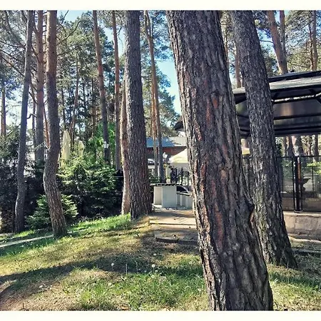 Complex Parc Pini Hotel Moineşti