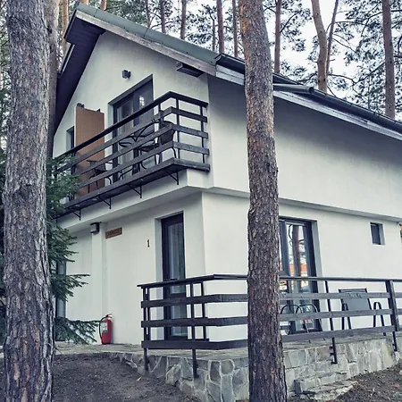 Hotel Complex Parc Pini Moineşti