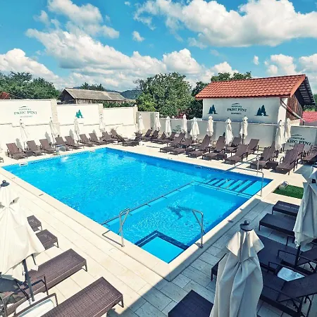 Complex Parc Pini 3* Moineşti