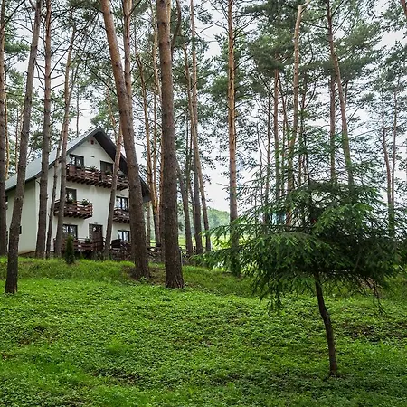 Hotel Complex Parc Pini Moineşti