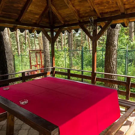 Complex Parc Pini Hotel Moineşti