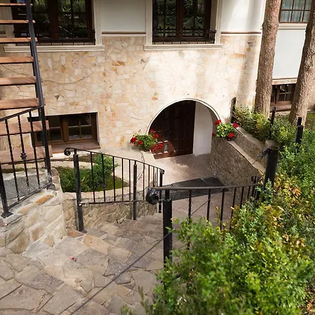 Complex Parc Pini Hotel Moineşti