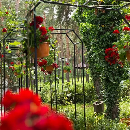 Hotel Complex Parc Pini